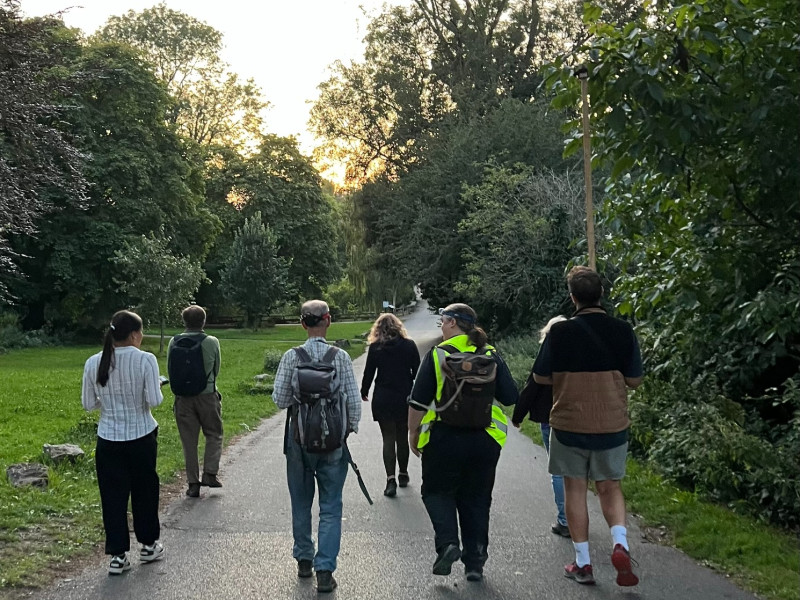 mp bat survey mp bat survey